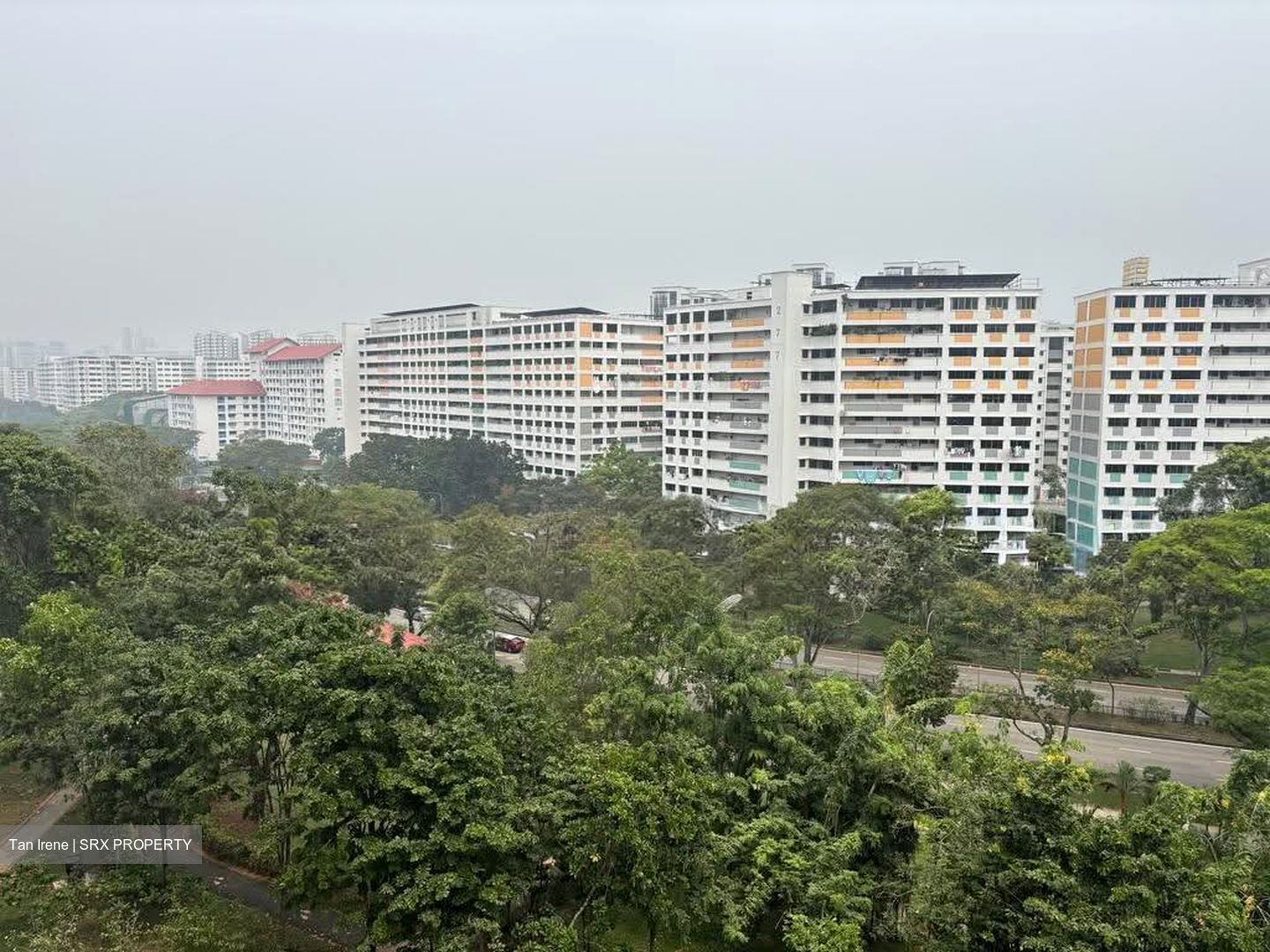 Blk 214 Petir Road (Bukit Panjang), HDB 3 Rooms #631554281
